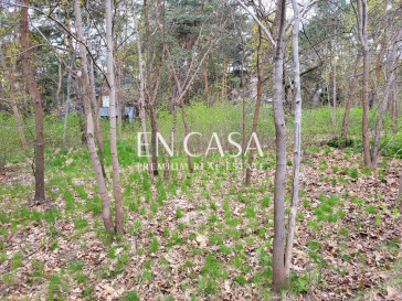Plot Sale Warszawa Wawer Mozaikowa